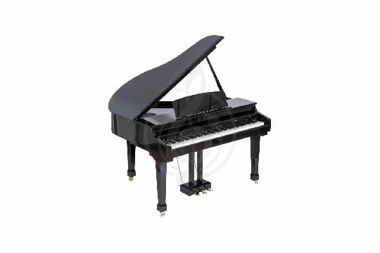 Цифровое пианино Grand-500-BLACK Цифровой рояль, Orla Grand-500-BLACK в магазине DominantaMusic - фото 1