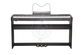 Цифровое пианино Цифровые пианино Ringway Ringway RP-35 B - Цифровое пианино RP-35 B - фото 1