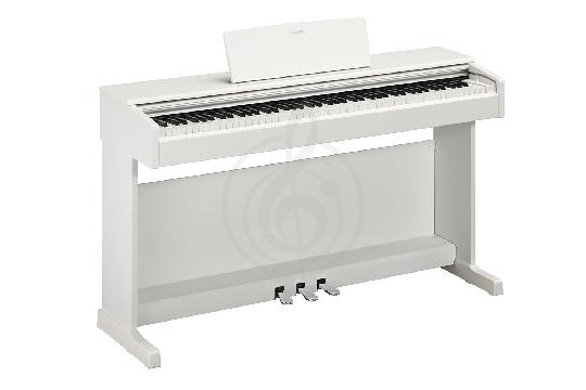 Цифровое пианино Цифровые пианино Yamaha Yamaha YDP-144WH - Цифровое пианино YDP-144WH - фото 1